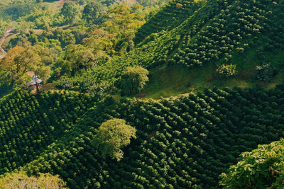 Colombia